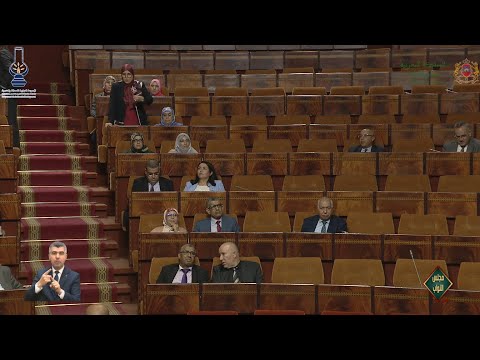 بوجة تثير معاناة مغاربة العالم مع الخدمات القنصلية، وغلاء تذاكر الرحلات الجوية نحو المغرب