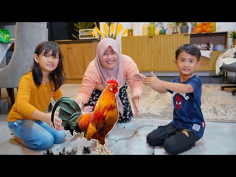 AYAM JAGO LEPAS BIKIN ONAR 😱 PECAHIN PIRING DIRUMAH