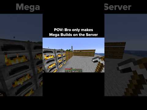 Minecraft Megabuild Moment