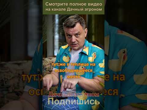 Супер способ для клубники! Дачный агроном