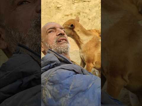 😱😱डॉक्टर थे अचानक क्या हुआ (ऐसा प्यार नही देखे होंगे)😱😱#humanity#respect#helping #youtubeshorts