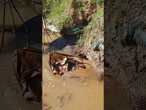 Unclogging Culvert Drain #unclog #shorts