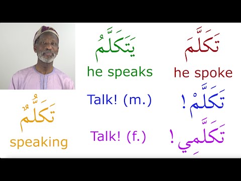 Common Verbs in Arabic with illustrative sentences, Episode 5