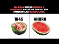 Evolution of Fruits and Vegetables