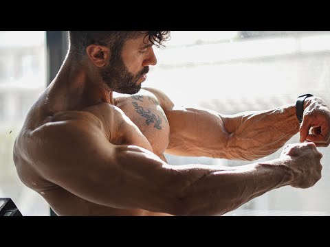 Arm Pump Madness 💪 Explosive Training for Biceps & Triceps