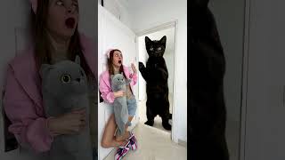 OMG Rumi Was Found By A GIANT CAT 🐍😨