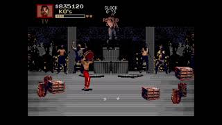 Pit-Fighter (GEN) - Ty Casual Playthrough