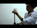 Pendulum Experiment Concepts and Variables