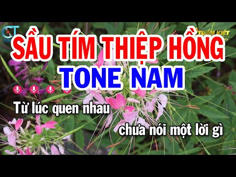 Karaoke Sầu Tím Thiệp Hồng Tone Nam ( D#m ) Nhạc Sống Hay || Karaoke Tuấn Kiệt