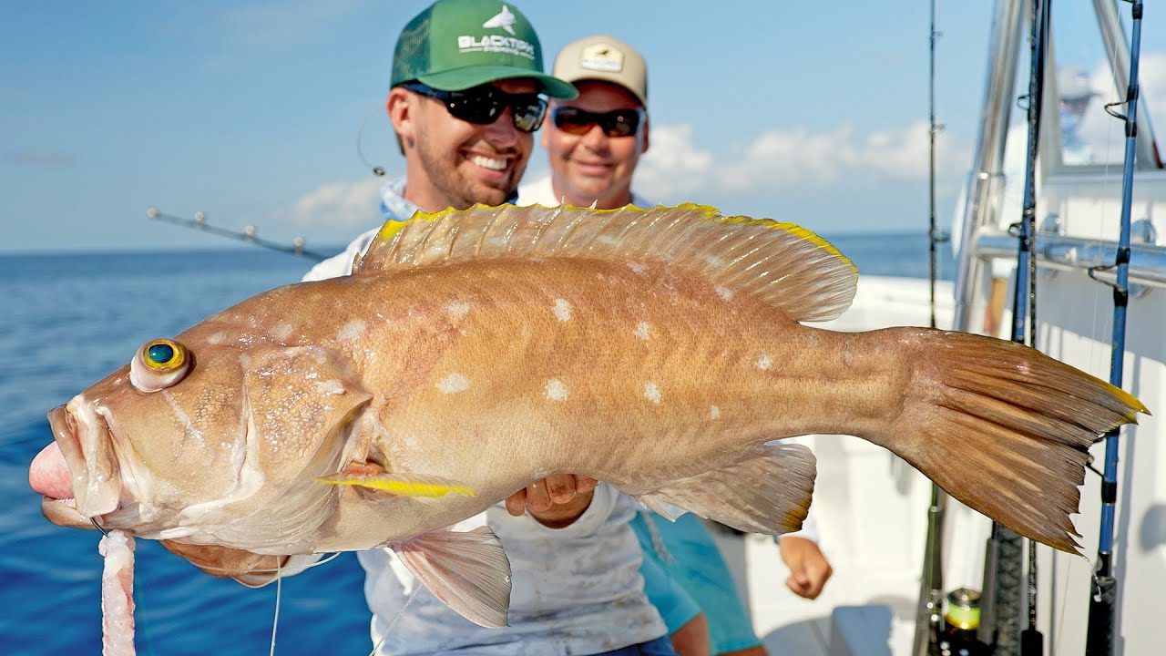 Deep Sea Alabama Fishing