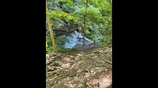 Nature Sounds