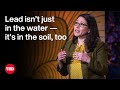 Lead Contamination and Its Impact