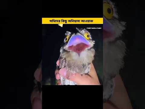 āĻĒāĻžāĻāĻŋāĻĻā§āϰ āĻ
āĻŦāĻŋāĻļā§āĻŦāĻžāϏā§āϝ āĻāĻāϝāĻŧāĻžāĻ đą_part 3 ||#shorts #shortsvideo #facts #birdsounds