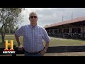 Understanding Horse Training and Racing