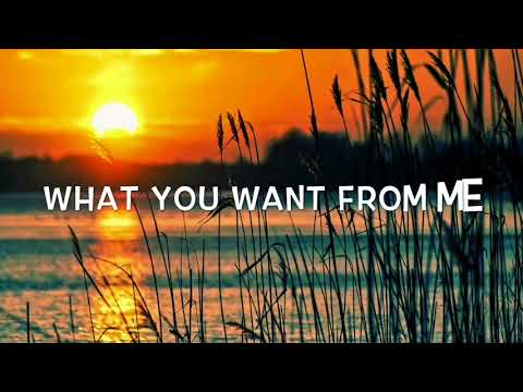 Matoma & Sean Paul Ft. KStewart - Paradise Lyrics