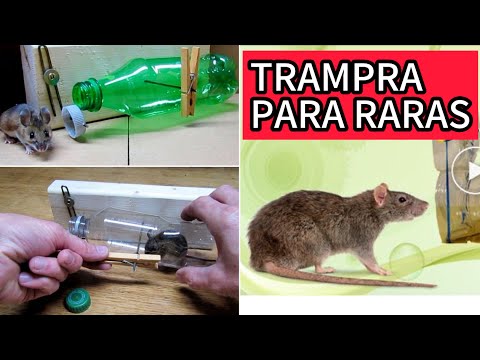 TRAMPA RATAS 🐀 - Acaba con Ratones, Ratas y plagas de la casa