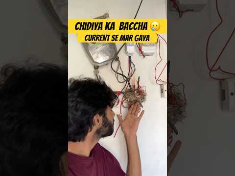 Chidiya Ne Ghar Banaya, Par Baccha Currunt Se Mar Gaya 💔 #shortvideo