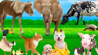 The Lively World of Farm Animals: Horse, Elephant, Cow, Puppy, Cat, Dog, Duck, -Animal Funny Sound