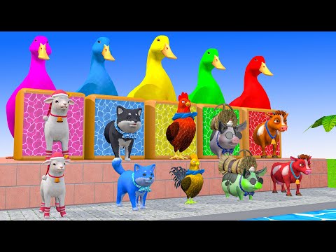 5 Giant Duck Cartoon, Cow, Mammoth, Elephant, Lion, Paint Wild Animals Crossing Fountain Animation