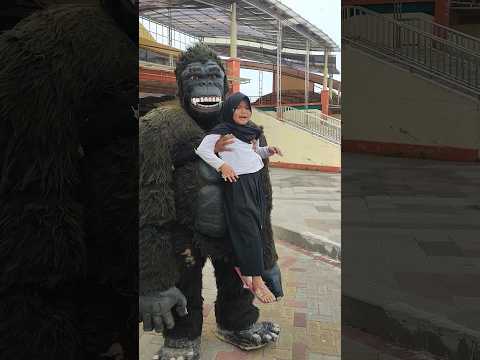 Tolong!! Kingkong Gendong Bocil
