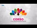 Bloemencorso Valkenswaard 2015 - VOS TV