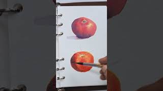 Watercolor tomato painting