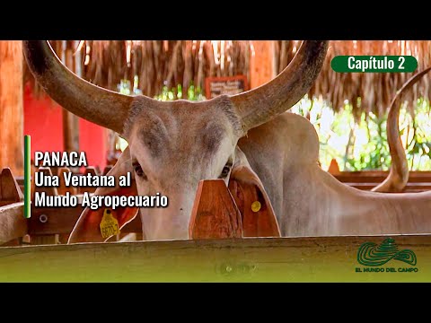PANACA Una Ventana Al Mundo Agropecuario 2