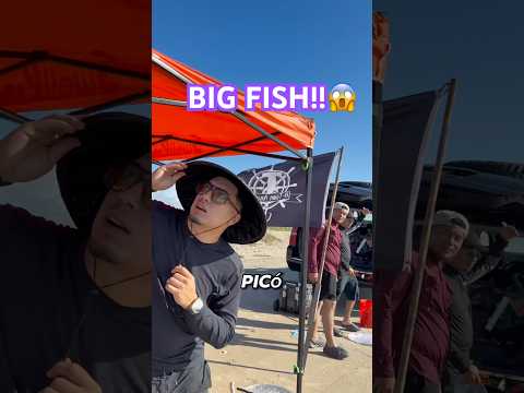 Buenas Vibras con Esteban Gabriel ๐ฃ #fishing #pesca