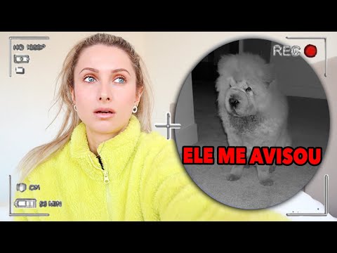 😰FIZ COMPRAS NO BRECHÓ E TIVE A NOITE MAIS MEDONHA DA VIDA!
