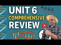 Molecular Biology Concepts and Processes