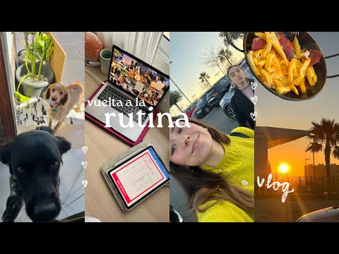 una semana movidita | clases, gym, planes, comidas...