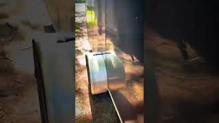 Guinea’s are bothering me at work ￼#rurallife #trashchicken #dumpstersparrow