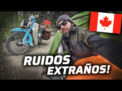ACAMPO EN UN BOSQUE DE CANADÁ Y ESCUCHO RUIDOS EXTRAÑOS👀😱 | BOYA LAKE🇨🇦