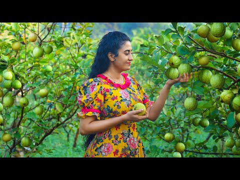 Guava Delights (Sri Lankan Recipes) ๐ Making Cordial, Cotton Candy, Creamy Cake, and More Treats!
