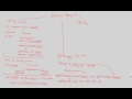 Functions of the Digestive System