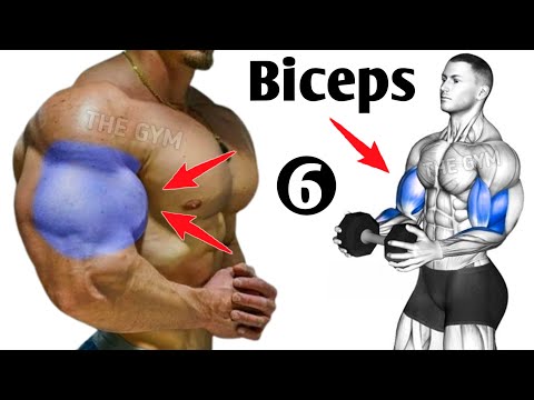 6 Magic Exercises to Big Biceps Fast