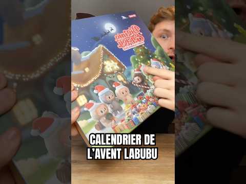 Calendrier de l’avent LABUBU 😱✨#labubu #christmas #adventcalendar #food #degustation