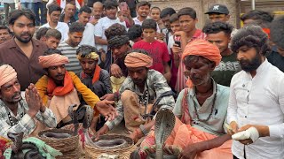 काशी के अस्सी घाट पर दिखे एक साथ इतने सारे सपेरा, ऐसे सपेरा वालों के साथ क्या करना चाहिए!🤔🐍 