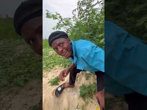 Who does that #funny #giveusourstolenmoneyback #comedyfilms #humanbody #comedy