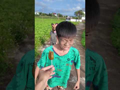Miếng shit thuộc về chú chó | The cake shit belongs to the dog #shorts