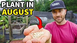 5 Crops You'll Hate NOT Planting in August!