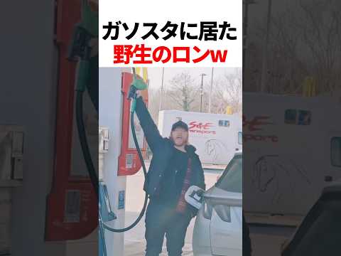 野生のロンが魔法を唱えるw