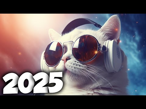 ELETRÔNICAS MAIS TOCADAS DE 2025 ⚡️ MÚSICAS ELETRÔNICAS ⚡️ NA BALADA ⚡️ALOK, DAVID GUETTA MIX