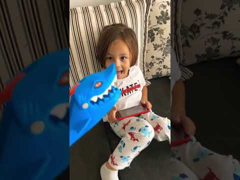 Devran ile Onur mavi köpek balığı yemeye geliyor #shorts