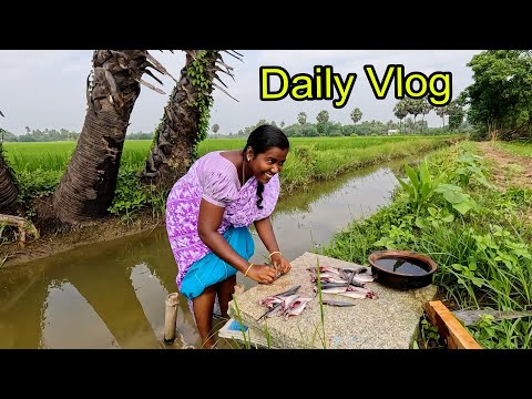 50 ரூபாய்க்கு வாங்கிய மீன் | Village Vlog | Amala village food