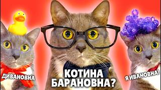 ЕСЛИ БЫ КОТИКИ ХОДИЛИ В ШКОЛУ - ЛУЧШИЕ НОВЫЕ СЕРИИ