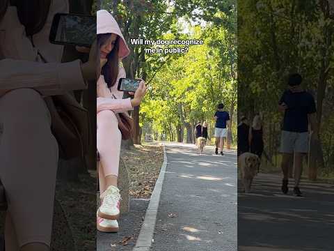 Seeing if my dog will recognize me in public #dogs