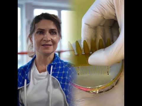 Что важнее в боксе сила или голова Больше лайва в ТГ намбер уан - ВИКА ЧЖАН