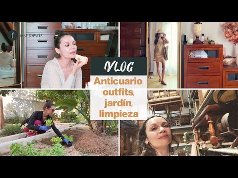 Deco ANTICUARIO, OUTFITS, secreto de LIMPIEZA, fashioJARDINERA, qué como, LIBROS | Fashiopatía Vlog