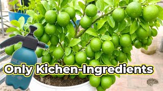 Best Ingredients to Boost Friuting 100% Effective l All are from kitchen  #gardening #fruittree